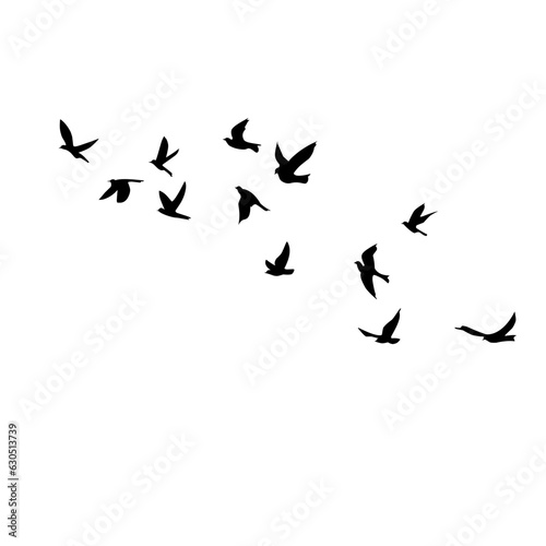 silhouette group of flying birds © metdi