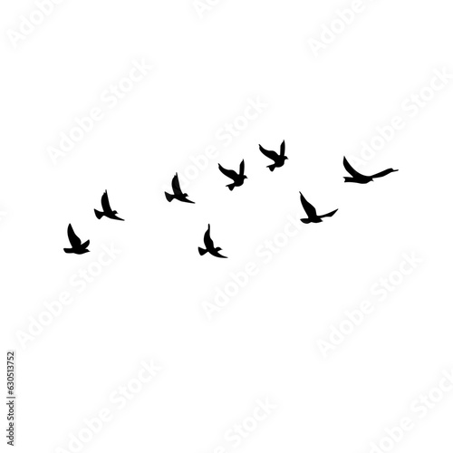 silhouette group of flying birds
