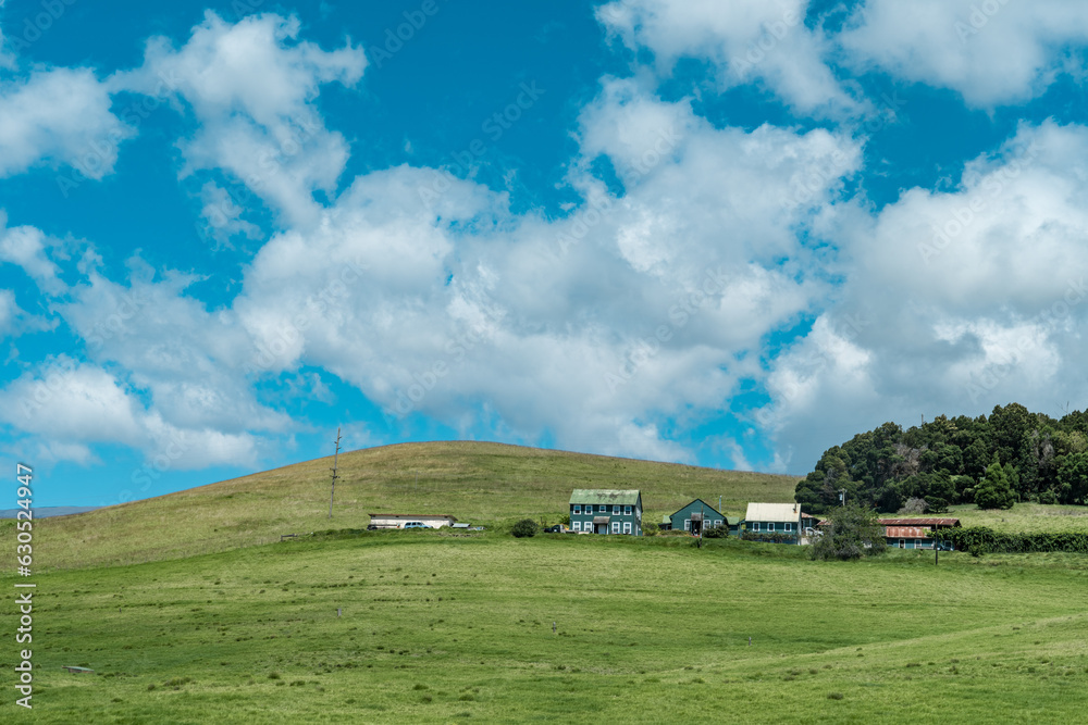 house in the ranch. farmhouse. Saddle Road, Weimea, Big island Hawaii
