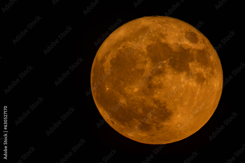 Obraz premium Beautiful Supermoon