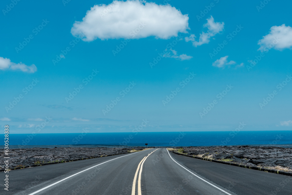 Fototapeta premium Chain of Craters Road, Hawaii Volcanoes National Park. Pahoehoe and A'a Lava. volcanic rock