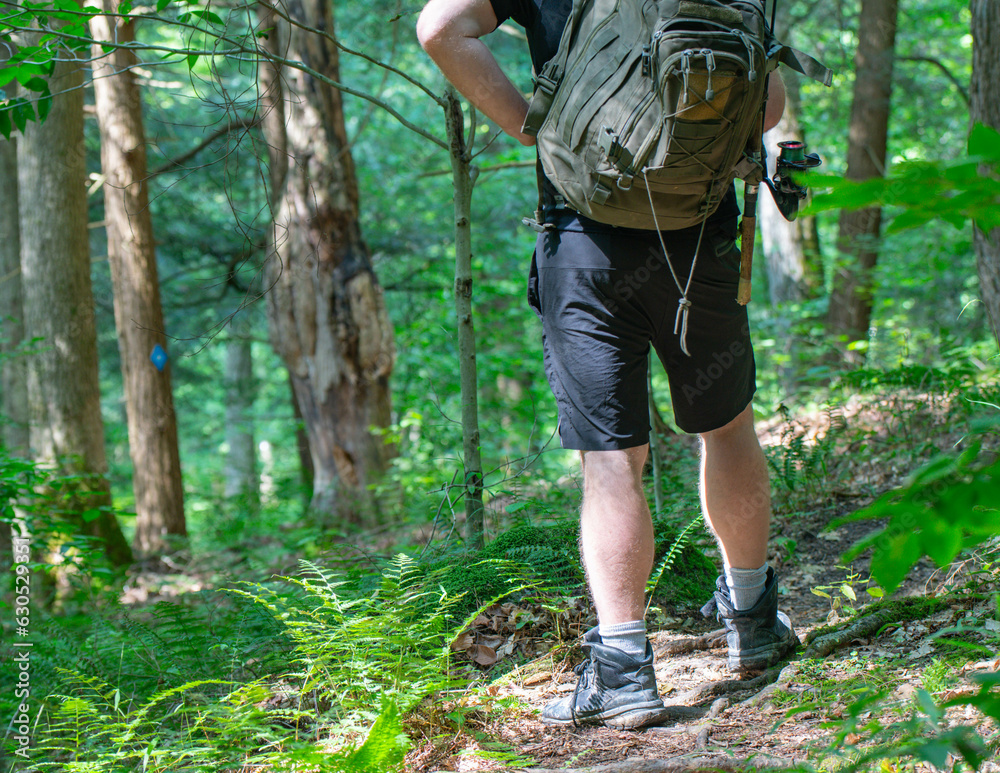 Hiker with a backpack hiking the trail in the woods Hiker with a backpack hiking the trail in the woods