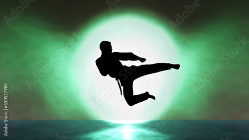silhouette of man in fighting pose on a beach