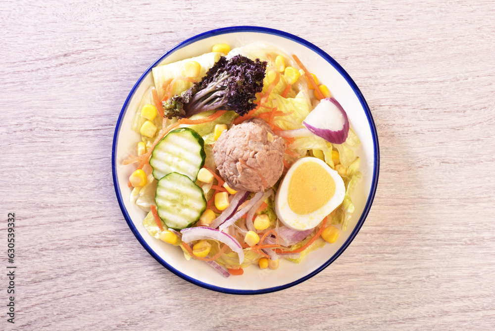 Tuna salad with corn, lettuce, red onions, boiled egg, radish, cucumber and canned tuna. Tuna salad with corn, lettuce, red onions, boiled egg, radish, cucumber and canned tuna.