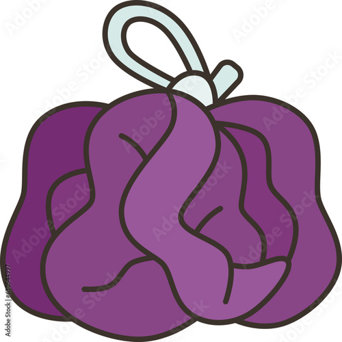 loofah  icon