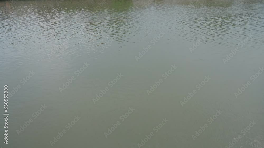 reflection of green tree in the water, closeup surface of the river on sunny day, slowmotion scene reflection of green tree in the water, closeup surface of the river on sunny day, slowmotion scene