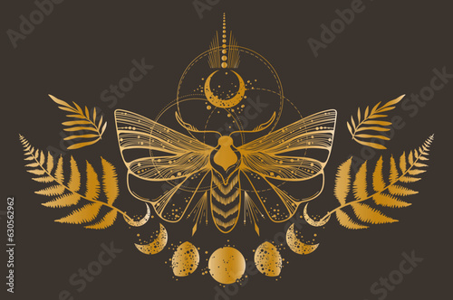 Fototapeta Magic celestial butterfly, fern leaves, plants and moon in golden foil texture c