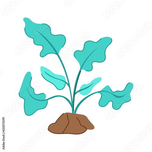 seaweed aquarium plant cartoon. alga s, man dutch, cutting food seaweed aquarium plant sign. isolated symbol vector illustration