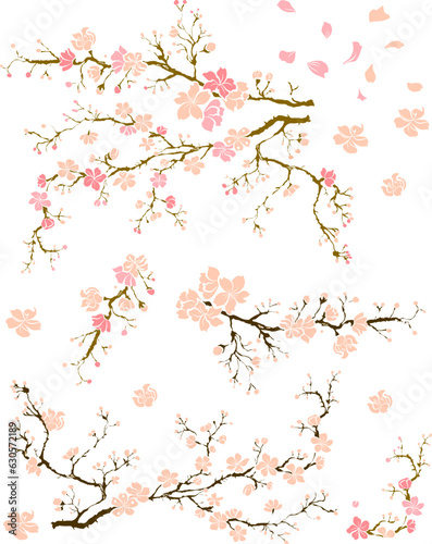 Free hand Sakura flower vector set, Beautiful line art Peach blossom isolate on white background.Cherry blossom illustration set.Element for weding card or printing on backdrop. 