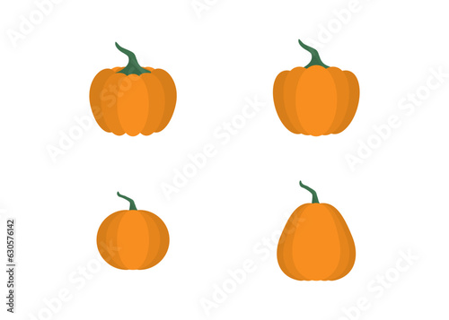 Collection of Autumn colored Pumkin, Thanksgiving and Halloween Elements.