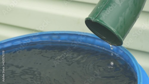 Water drips down the drain pipe after the rain into a blue plastic barrel