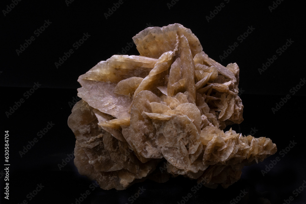 Desert rose mineral Desert rose mineral