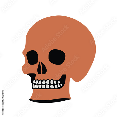 Fototapeta Naklejka Na Ścianę i Meble -  Vector illustration of human skull, death or dead flat icon for games and websites