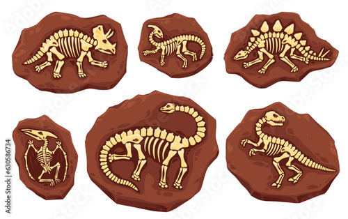 Dino fossil skeletons Fototapet