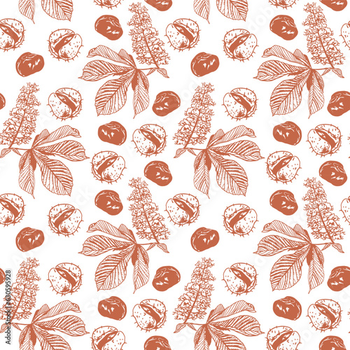 Leaves, flower and fruits of chestnut. Vector seamless pattern of chestnut plant in graphic style. Design element for wrapping paper, textiles, covers photo