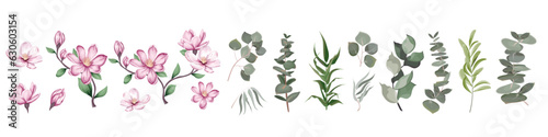 Mix of herbs and plants vector big collection. Green plants and leaves. All elements are isolated. A branch of pink magnolia, sakura. . Vector illustration. Vector illustration