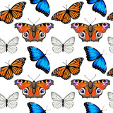 Seamless pattern with monarch butterflies and blue morpho butterflies