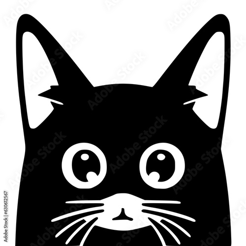 symmetrical cat, cute and lovely face
