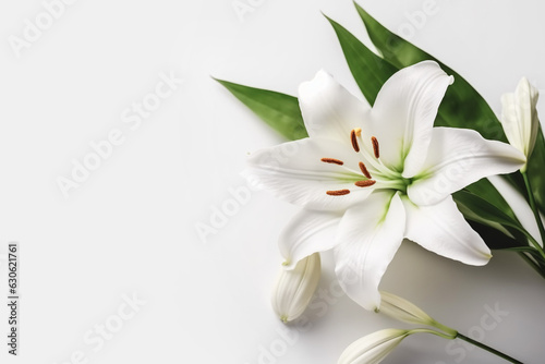 Beautiful floral background with white lily flower on same color background. Banner template for beauty spa wellness natural cosmetics concept photo