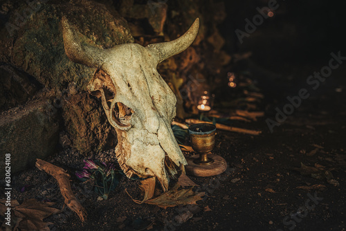 Animal skull in a cave. Ceremony space.