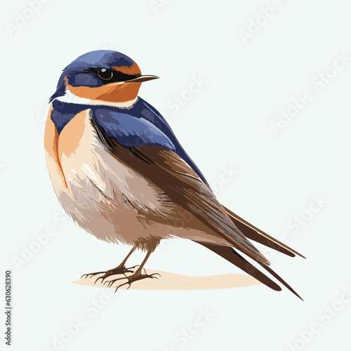 vector cute barn swallow cartoon style