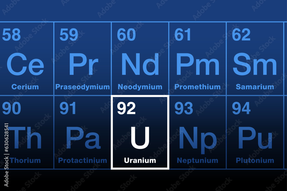 Uranium on periodic table of the elements in the actinide series. Radioactive metal with atomic number 92 and element symbol U, named after Uranus. Used in nuclear power plants and in nuclear weapons.