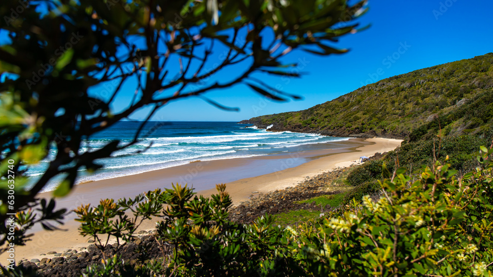panorama of new south wales coast in hat head national park; green hills coverd with juicy grass by the ocean, beautiful beach surrounded by cliffs in australia, o'connors beach in hat head