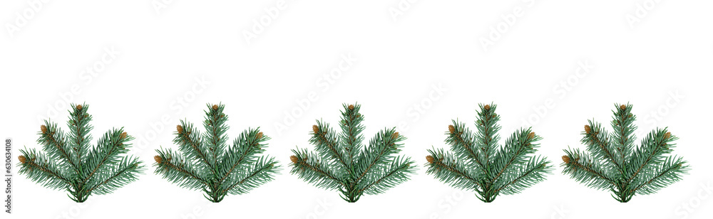 Christmas and New Year banner with five green branches of a Christmas tree on a isolated transparent png  background with space for text. Holiday and happiness.