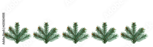Christmas and New Year banner with five green branches of a Christmas tree on a isolated transparent png  background with space for text. Holiday and happiness.