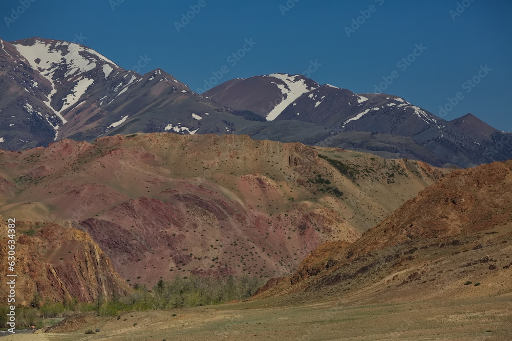 Martian landscapes of the Altai highlands.