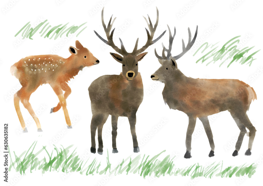 かわいい手書きのシカのイラスト 鹿 ワピチ アメリカアカシカ エルク 手書きの動物イラスト アメリカの動物 親子 かわいい ほっこり 手書き ...