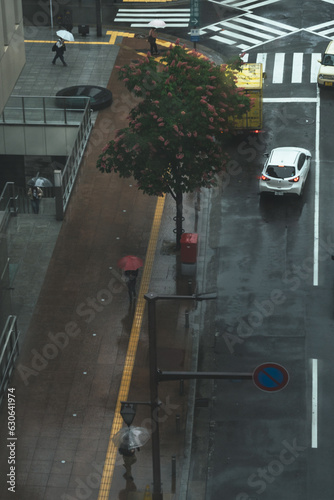 雨の日に傘をさす人