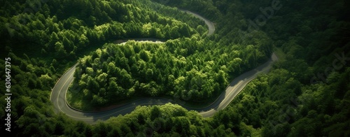 Aerial view green forest with car on the asphalt road