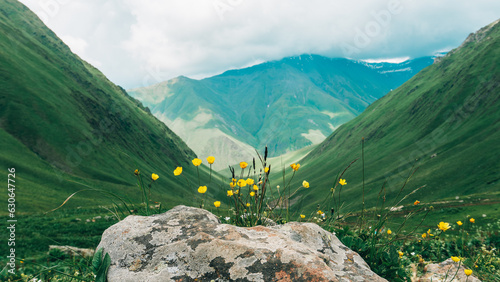 Picturesque landscape, flowers in the foreground, mountains and hills in the background, summer sky and clouds photo