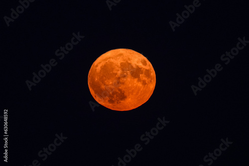 Night photo with a bloody red moon sunrise called also sturgeon moon. Moon astronology image.