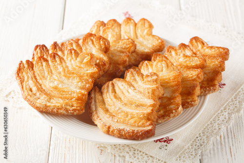 Homemade Gourmet italian puff pastries palmine closeup on the plate on the table. Horizontal photo