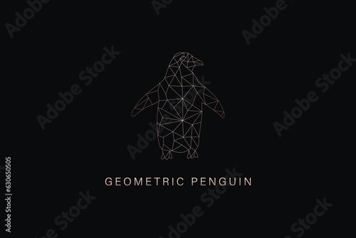 geometric penguin illustration design, penguin line art design, penguin design