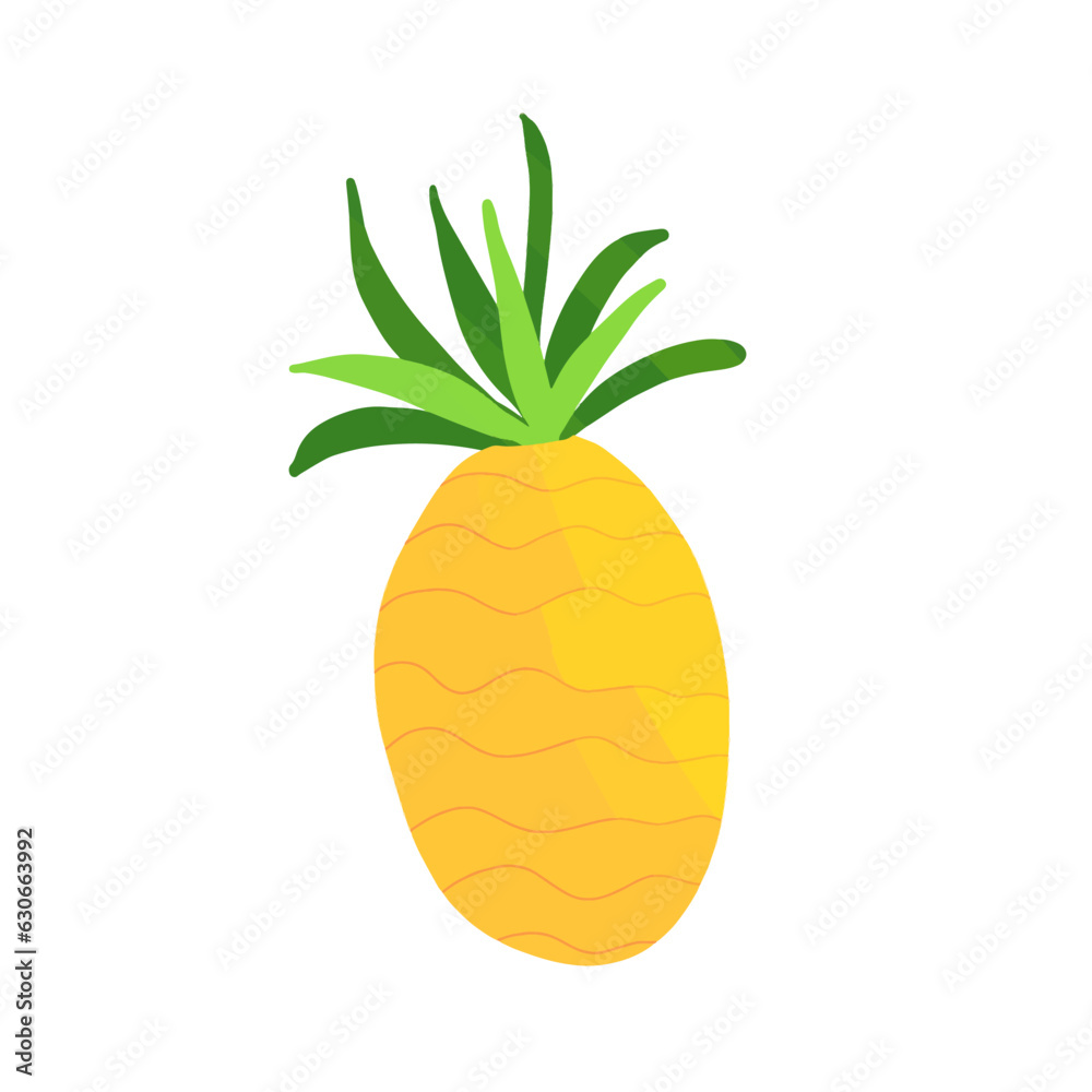Hand drawn pineapple. Doodle vector illustration