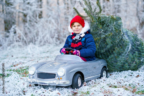Happy little smiling girl driving toy car with Christmas tree. Funny preschool child in winter clothes bringing hewed xmas tree from snowy forest. Family, tradition, holiday. photo