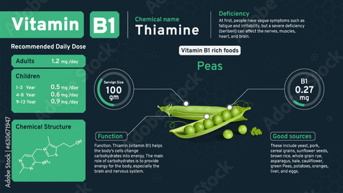 Vitamin B1 Illuminating Health from Within! Discover the Daily Dose, Chemical Power, Retinol Structure, and Rich Foods with Serving Sizes to Nourish Your Vision- Vector infographics Design