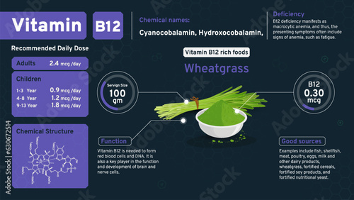 Vitamin B12 Illuminating Health from Within! Discover the Daily Dose, Chemical Power, Retinol Structure, and Rich Foods with Serving Sizes to Nourish Your Vision- Vector infographics Design