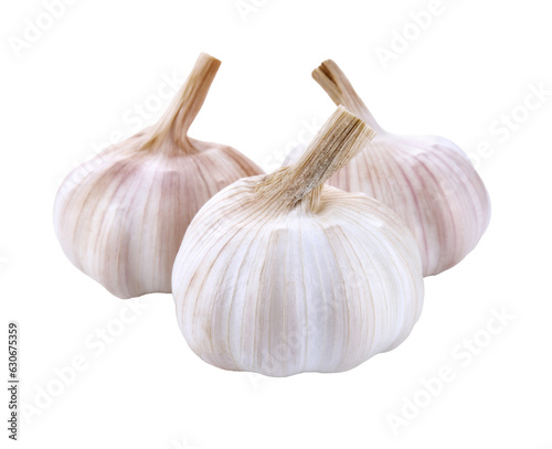 Garlic isolated transparent png