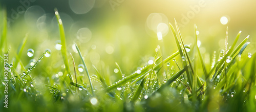 Macro Beauty: Water Drop Sparkle on Grass Blade in Sunlight, Morning Dew Artistry