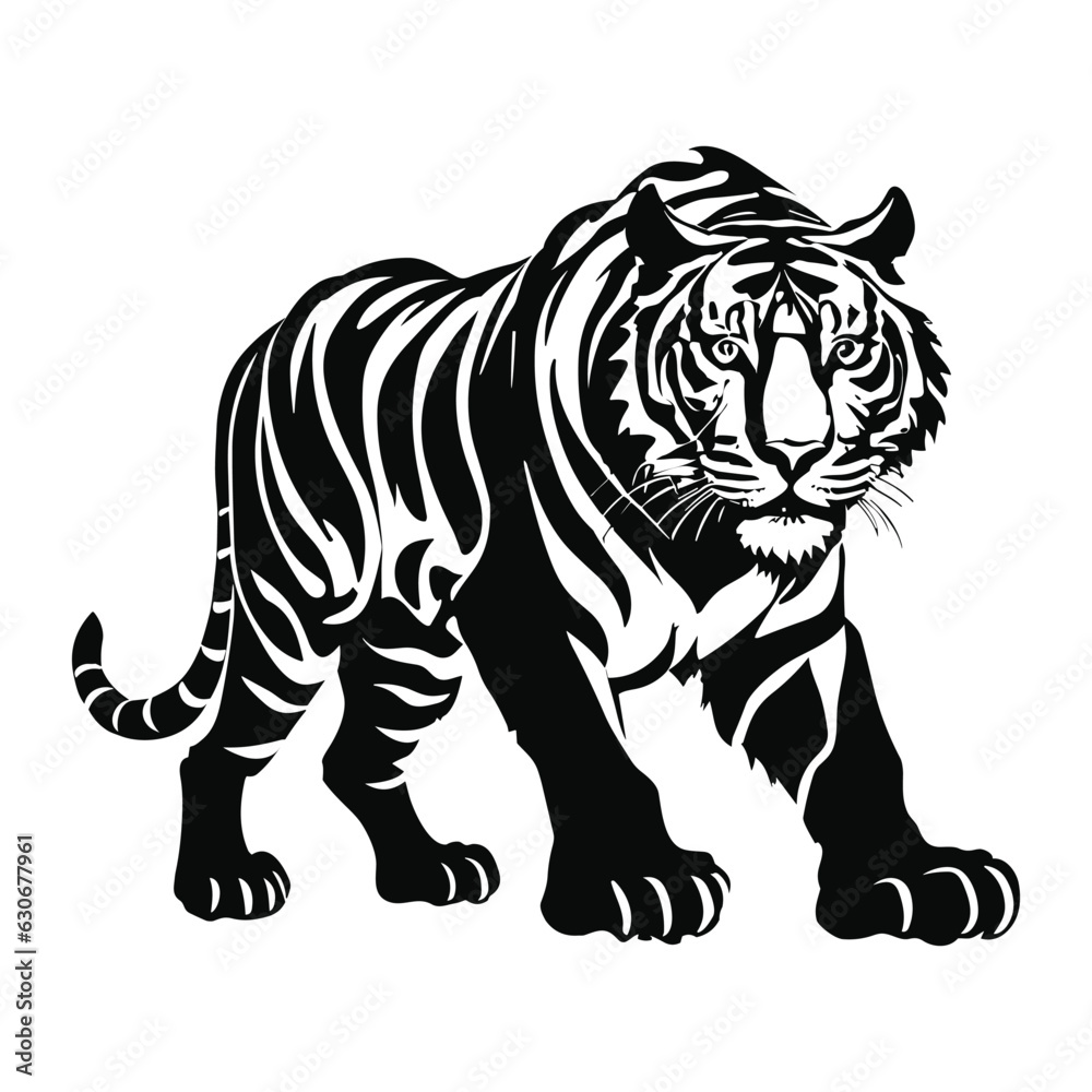 Tiger isolated on white Tiger isolated on white