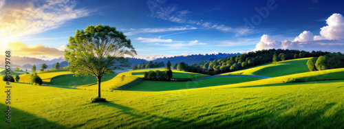 Beautiful Green Meadow Landscape Nature For Background With Shining Sunlight