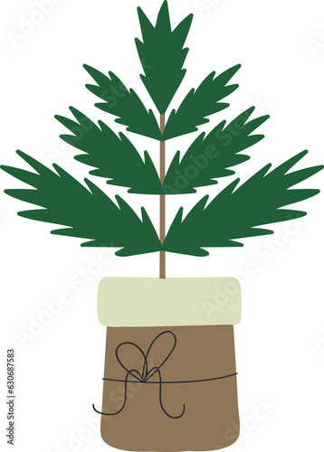 Christmas tree in the pot