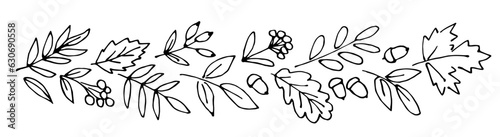 Garland of autumn leaves, branches, rowan berries, acorns. Floral border for seasonal decor. Vector black outline drawing. Sketch in ink.