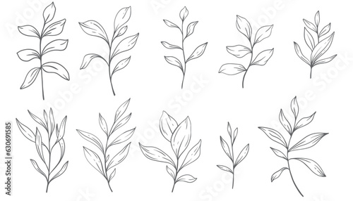 Greenery Line Art, Fine Line Leaves Hand Drawn Illustration. Botanical Coloring Page