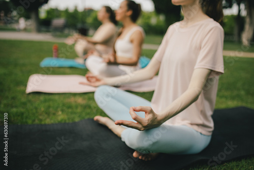 Group of millennial women having group yoga class in a park. Healthy lifestyle.