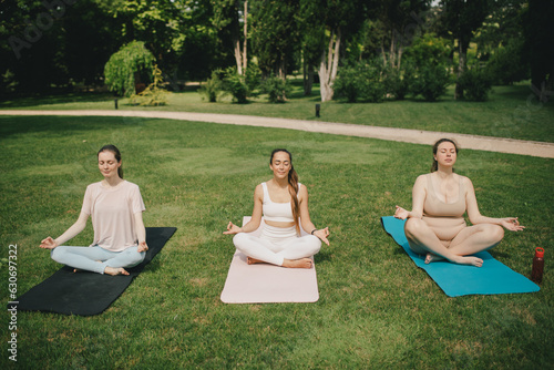 Group of millennial women having group yoga class in a park. Healthy lifestyle.